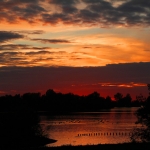 Maas Zonsondergang Maas Zonsondergang