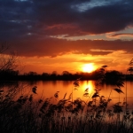 Sunset Sunset