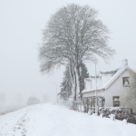 Winter Winter