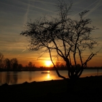 Maas zonsondergang Maas zonsondergang