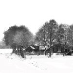 winter winter