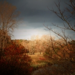 Herfstlandschap Herfstlandschap