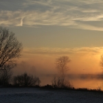 Maas Maas