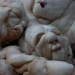 Close up