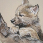 wolfpup wolfpup