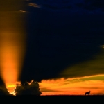 sunset sunset