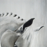 Camargue paard 2 Camargue paard 2