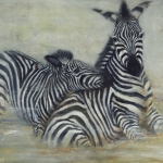 spelende zebra's spelende zebra's