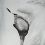 Camargue paard 1 Camargue paard 1