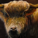 Scottish highlander Scottish highlander