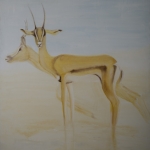 impala impala