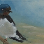 swallow swallow