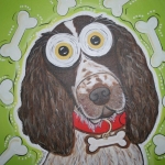 Springer Spaniel Springer Spaniel