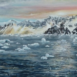 Antarctica Antarctica
