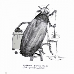 Big spinning beetle Big spinning beetle