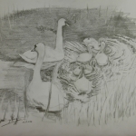 Swan family Swan family