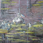 Ducklings Ducklings