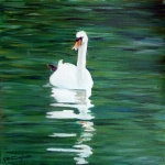 Swan Swan