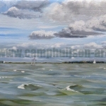 't Gooimeer 't Gooimeer