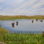 Bathing Highlanders Bathing Highlanders