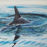 Gray dolphin Gray dolphin