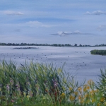 Lauwersmeer Lauwersmeer