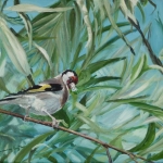 Goldfinch 2 Goldfinch 2