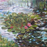 Waterlelies Waterlelies