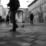 Siena, Piazza del Duomo Siena, Piazza del Duomo
