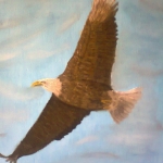 Eagle Eagle