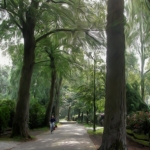 van Woensel Kooylaan Naarden