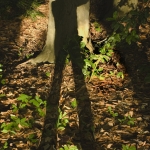 Zelfportret
