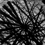 PWEXP-003 1973