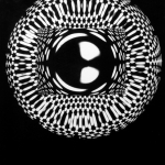 PWEXP-006 1971