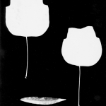 Leaves PWEXP-020 1968
