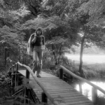 Rob de Nijs 1974