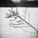 Crailo tak in sneeuw 3581-11