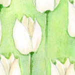 Tulp 251200-0.1-A Tulp 251200-0.1-A