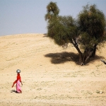 Thar desert India