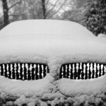 BMW 3584-06 2010