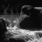 0097-11 1960