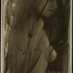Pola 4'x5' - 07