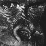 PWD-001-Gorilla