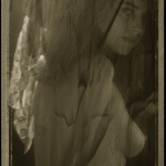 Hooglied 1996