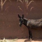 Mur Marocains no. 26a