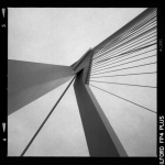 Erasmusbrug 8 Erasmusbrug 8