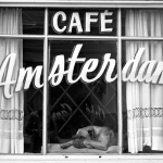 Hond in Antwerps café Hond in Antwerps café
