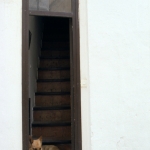 Hond in Portugal Hond in Portugal