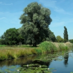 Karnemelksloot Naarden Karnemelksloot Naarden