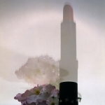 Lipstick en bloem Lipstick en bloem